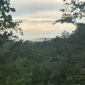 Meet your Posher, Adalberta